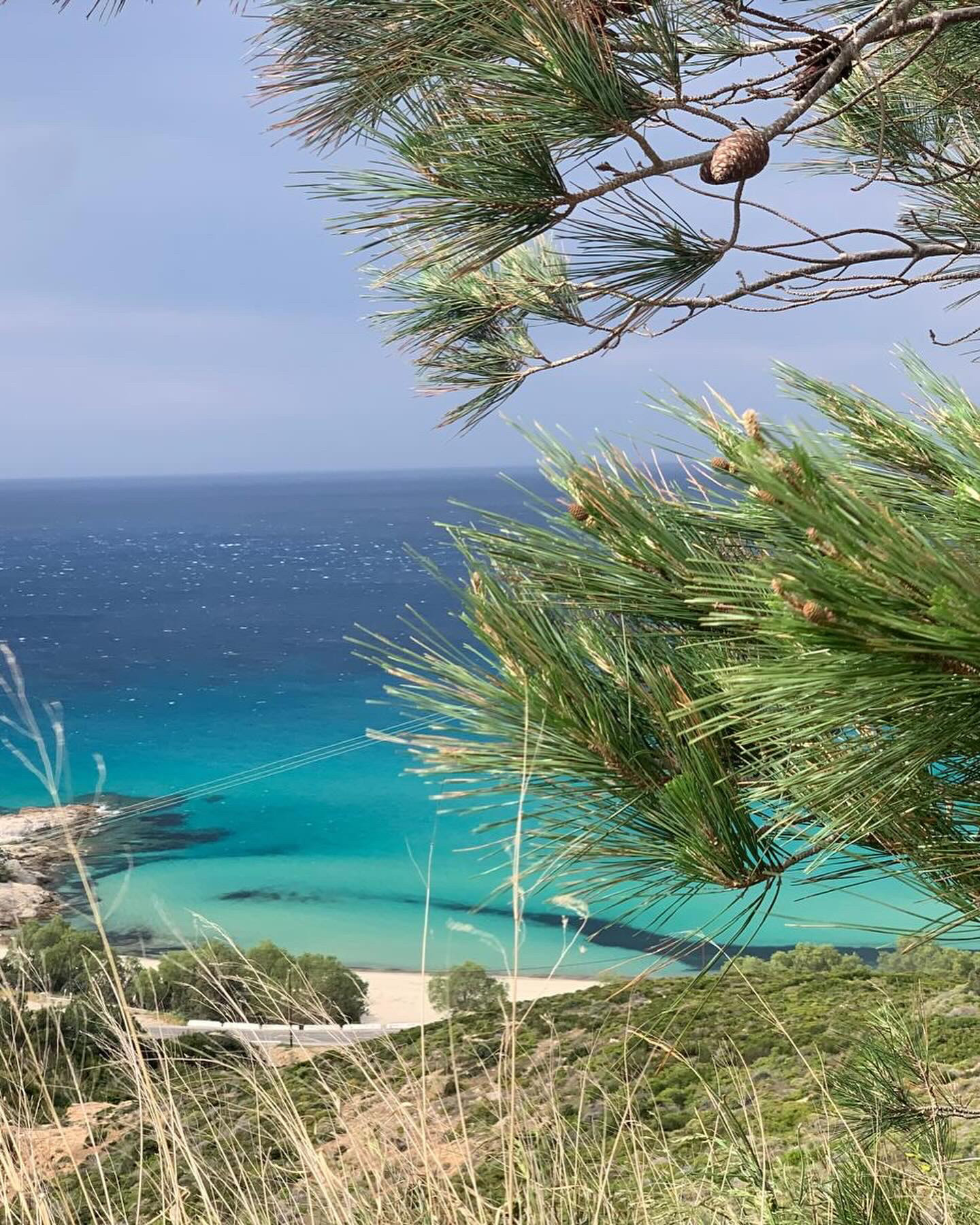 Earth, Sea, & Self